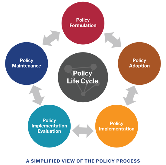 Introduction to Policy Analysis